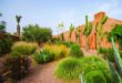 Ô Jardins : La passion du détail